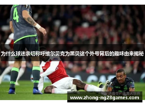 为什么球迷亲切称呼维尔贝克为黑贝这个外号背后的趣味由来揭秘 为什么球迷亲切称呼维尔贝克为黑贝这个外号背后的趣味由来揭秘