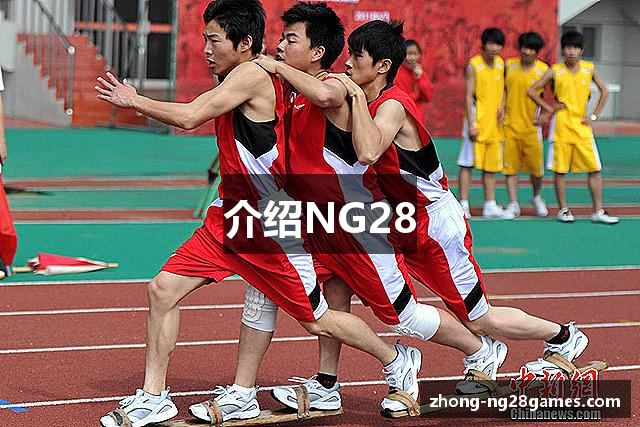 介绍NG28